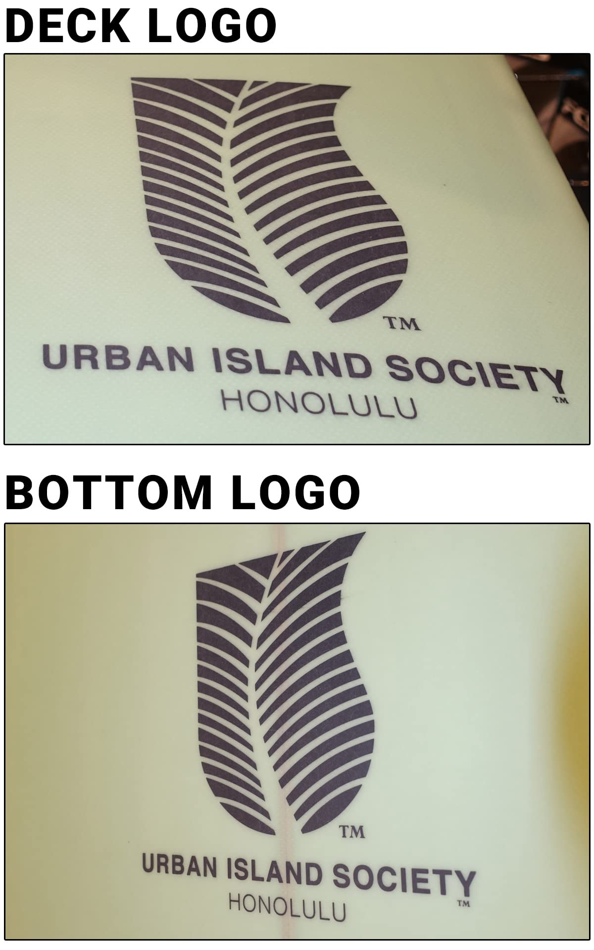 Amazon | 24 URBAN ISLAND SOCIETY LANA 9'3 PU サーフボード